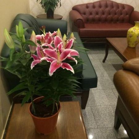 Ünver Hotel Adana Eksteriør billede